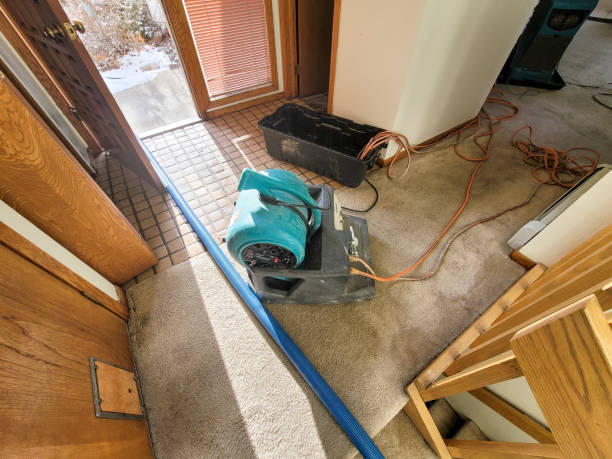 Best Basement water damage restoration  in South Beach, FL