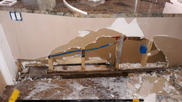 Best Water damage cleanup near me  in South Beach, FL