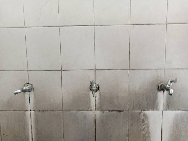 Best Basement water damage restoration  in South Beach, FL