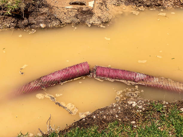 Best Water damage restoration near me  in South Beach, FL